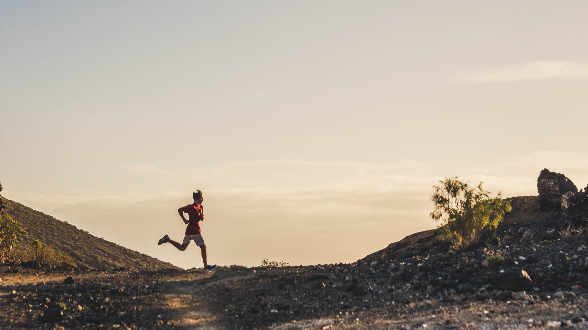 Quand tout ralentit Image